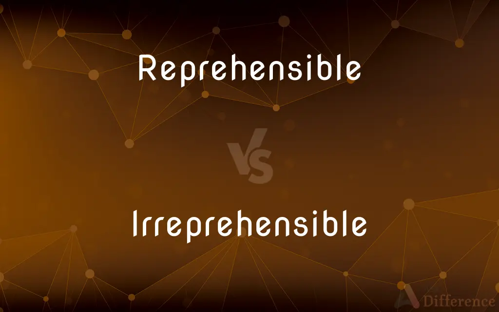 Reprehensible vs. Irreprehensible — What's the Difference?
