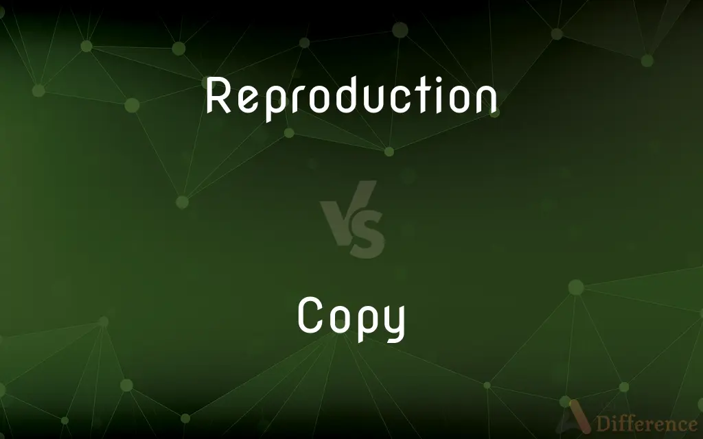 Reproduction vs. Copy — What's the Difference?