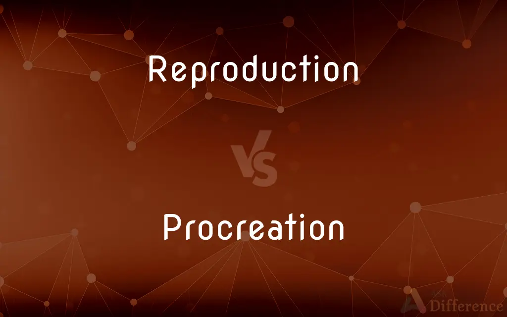 Reproduction vs. Procreation — What's the Difference?