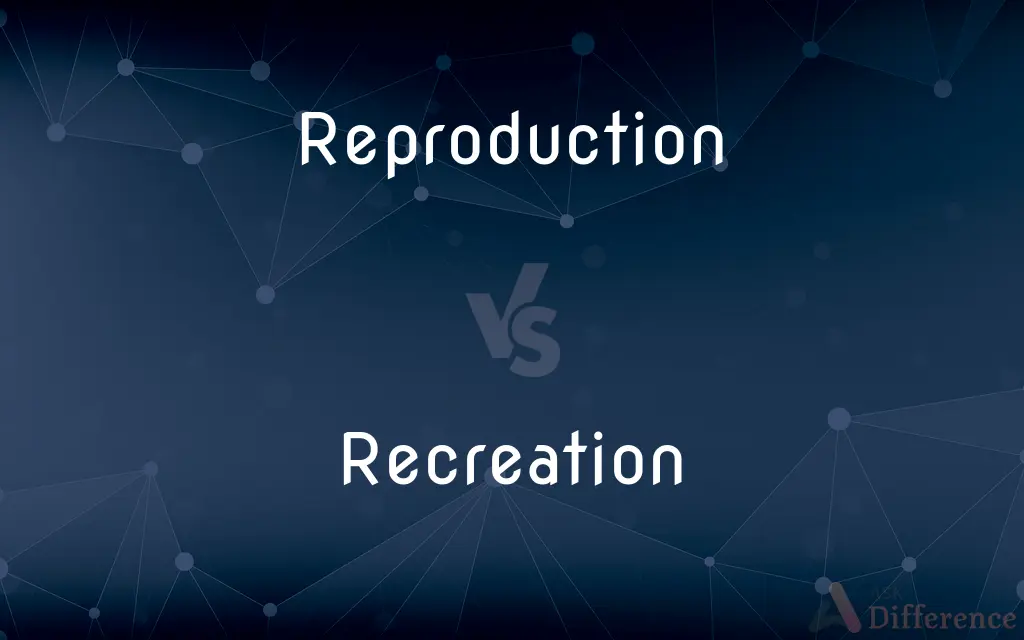 Reproduction vs. Recreation — What's the Difference?