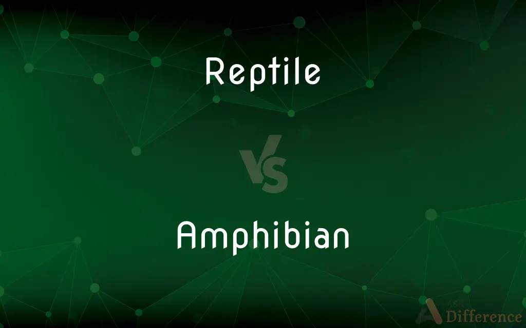 Reptile vs. Amphibian — What's the Difference?