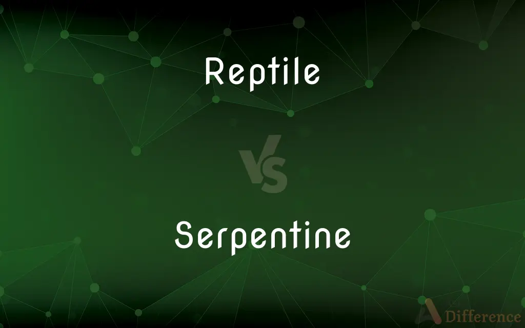 Reptile vs. Serpentine — What's the Difference?