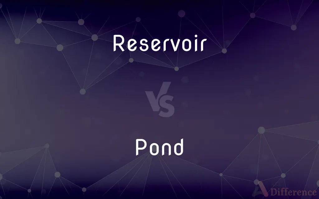 Reservoir vs. Pond — What's the Difference?