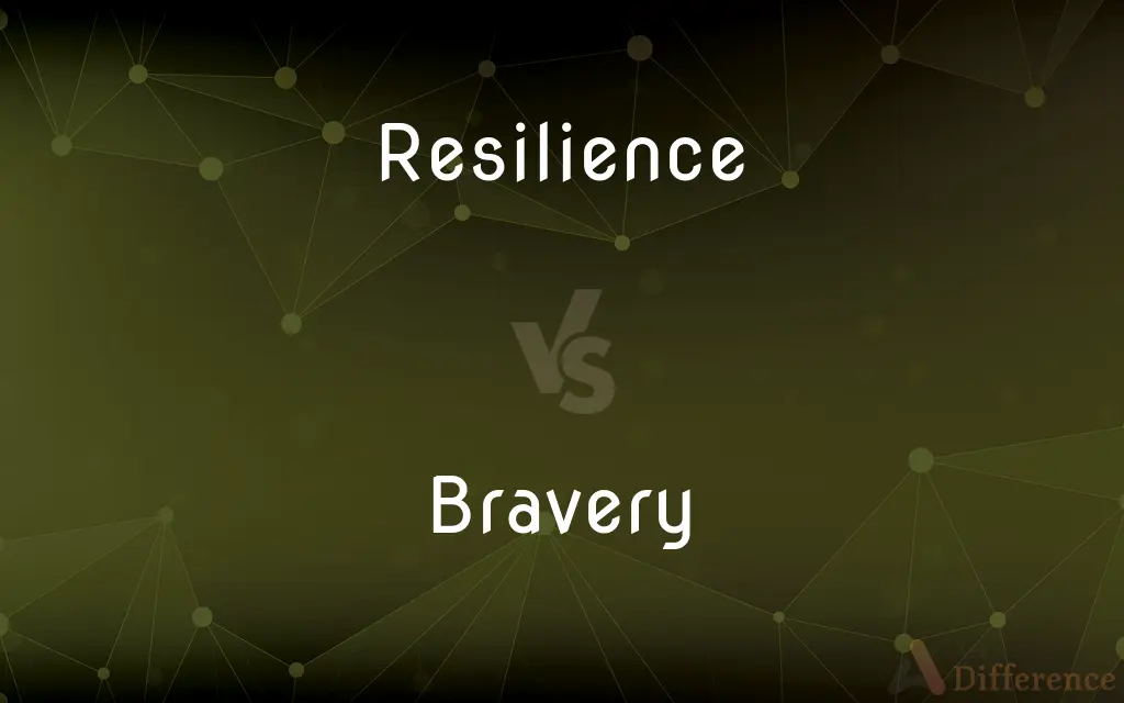 Resilience vs. Bravery — What's the Difference?