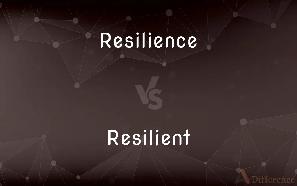 Resilience vs. Resilient — What's the Difference?