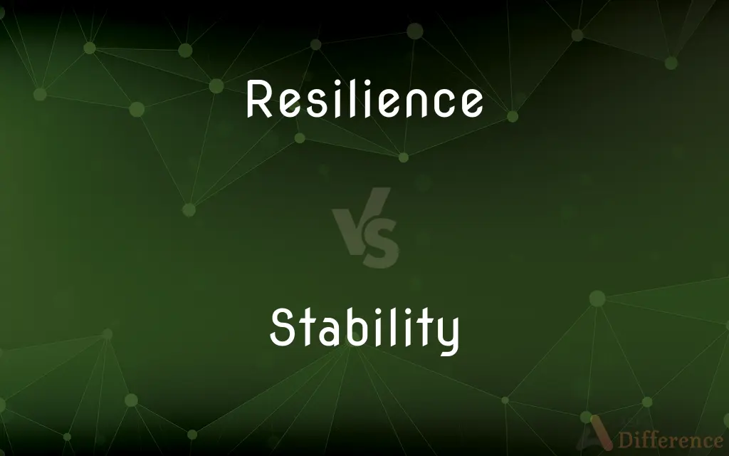 Resilience vs. Stability — What's the Difference?