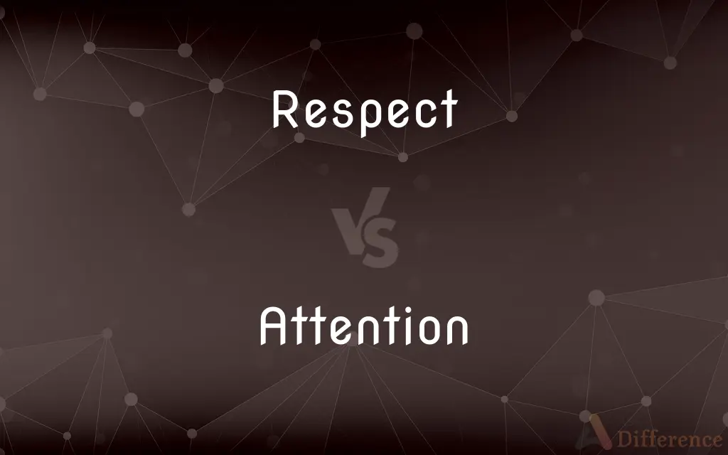 Respect vs. Attention — What's the Difference?
