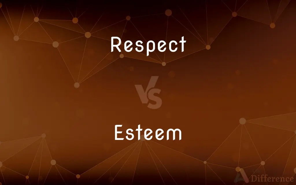 Respect vs. Esteem — What's the Difference?
