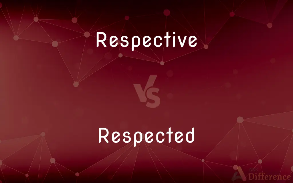 Respective vs. Respected — What's the Difference?