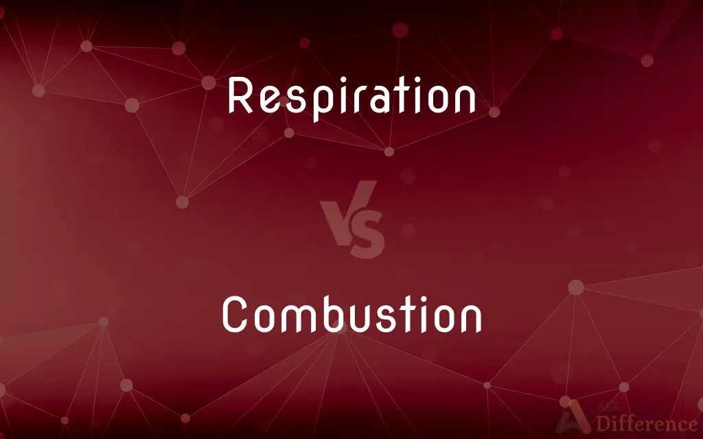 Respiration vs. Combustion — What's the Difference?