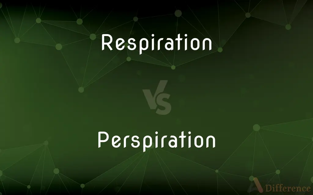 Respiration vs. Perspiration — What's the Difference?