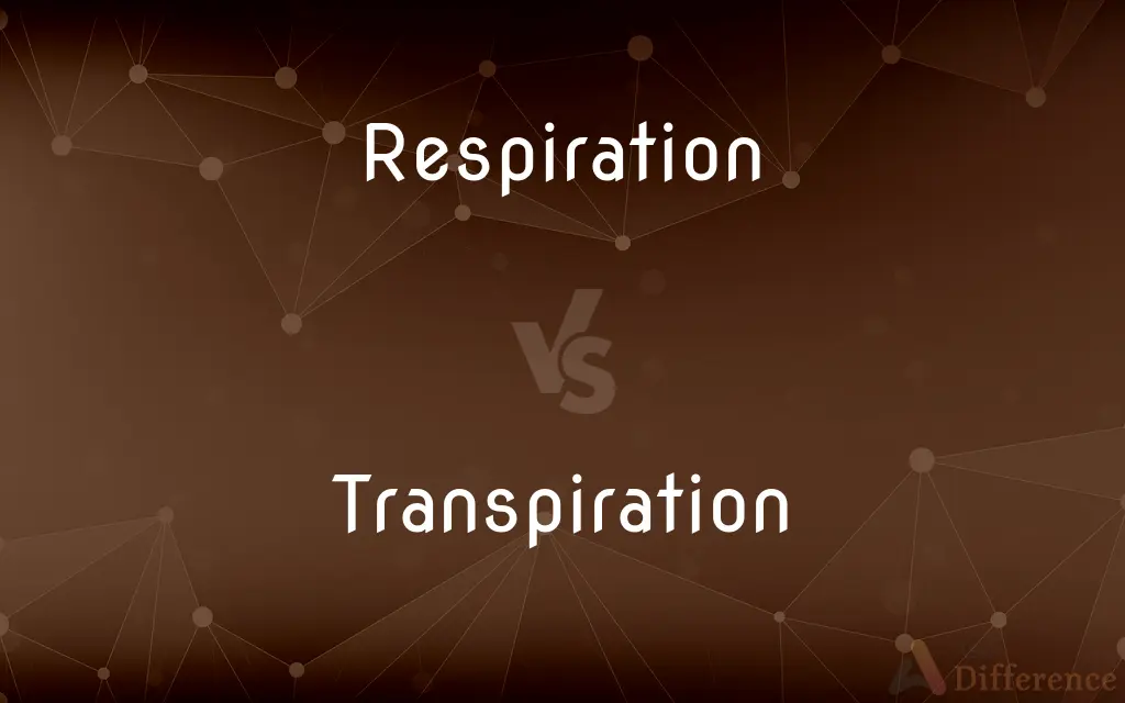 Respiration vs. Transpiration — What's the Difference?