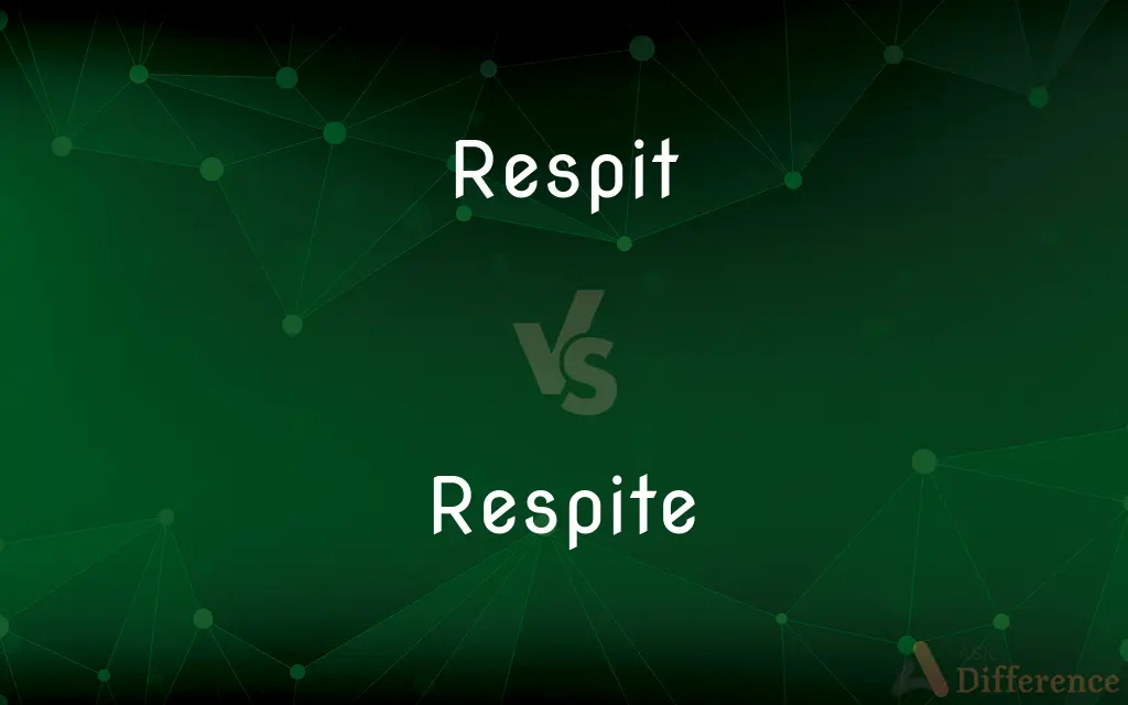 Respit vs. Respite — What's the Difference?