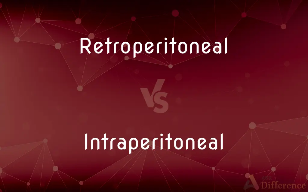 Retroperitoneal vs. Intraperitoneal — What's the Difference?
