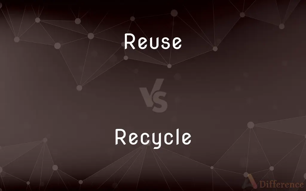 Reuse vs. Recycle — What's the Difference?