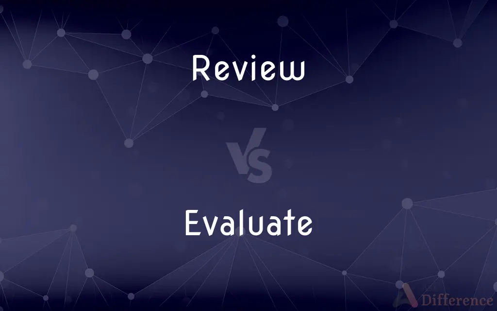 Review vs. Evaluate — What's the Difference?