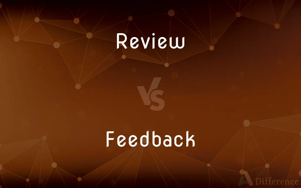 Review vs. Feedback — What's the Difference?
