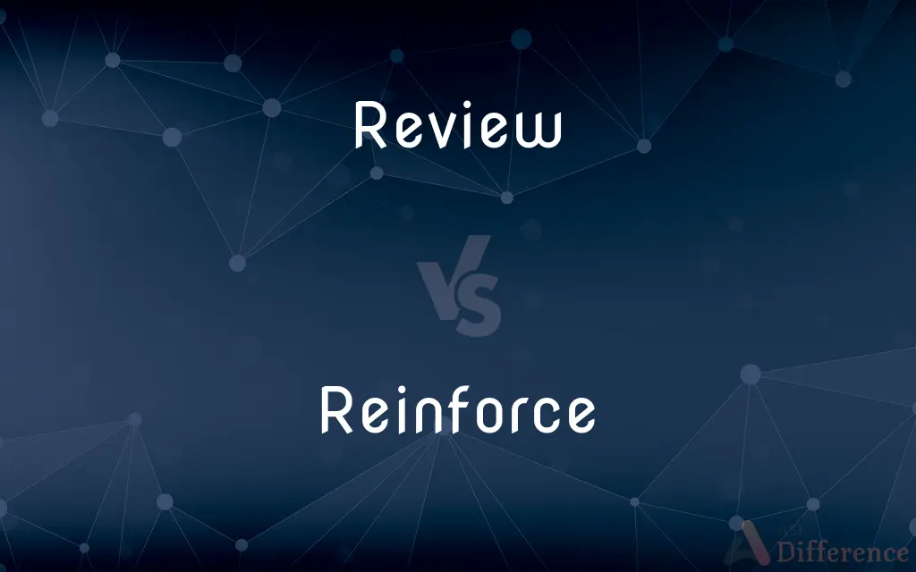 Review vs. Reinforce — What's the Difference?