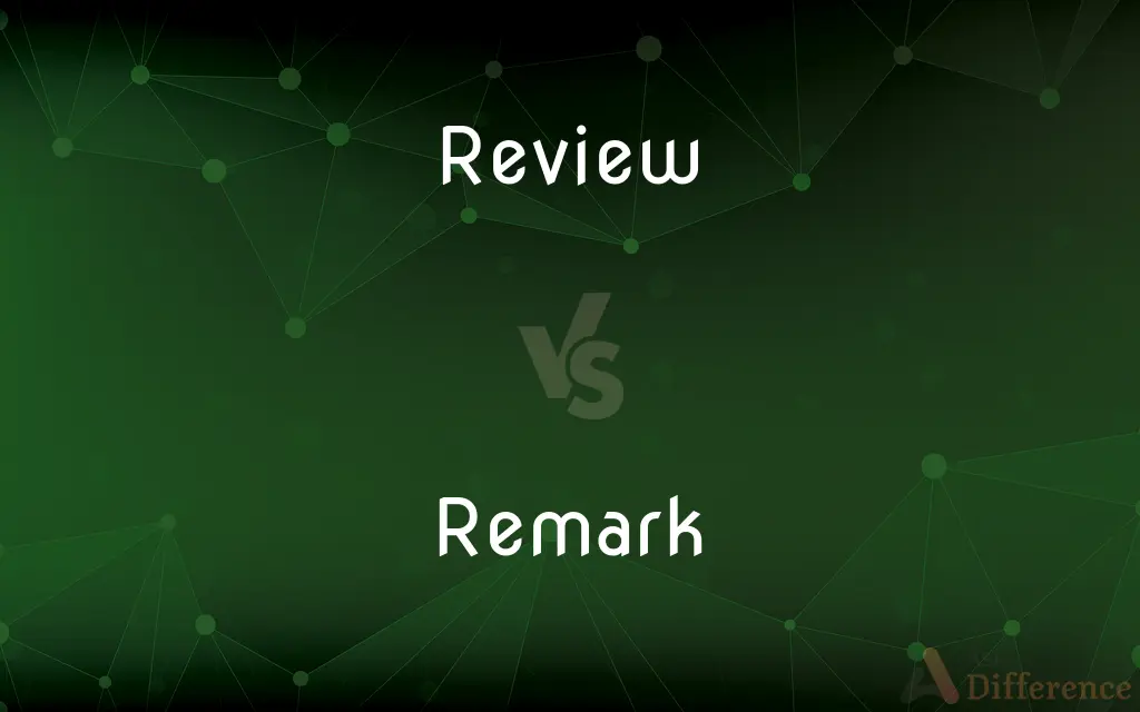 Review vs. Remark — What's the Difference?