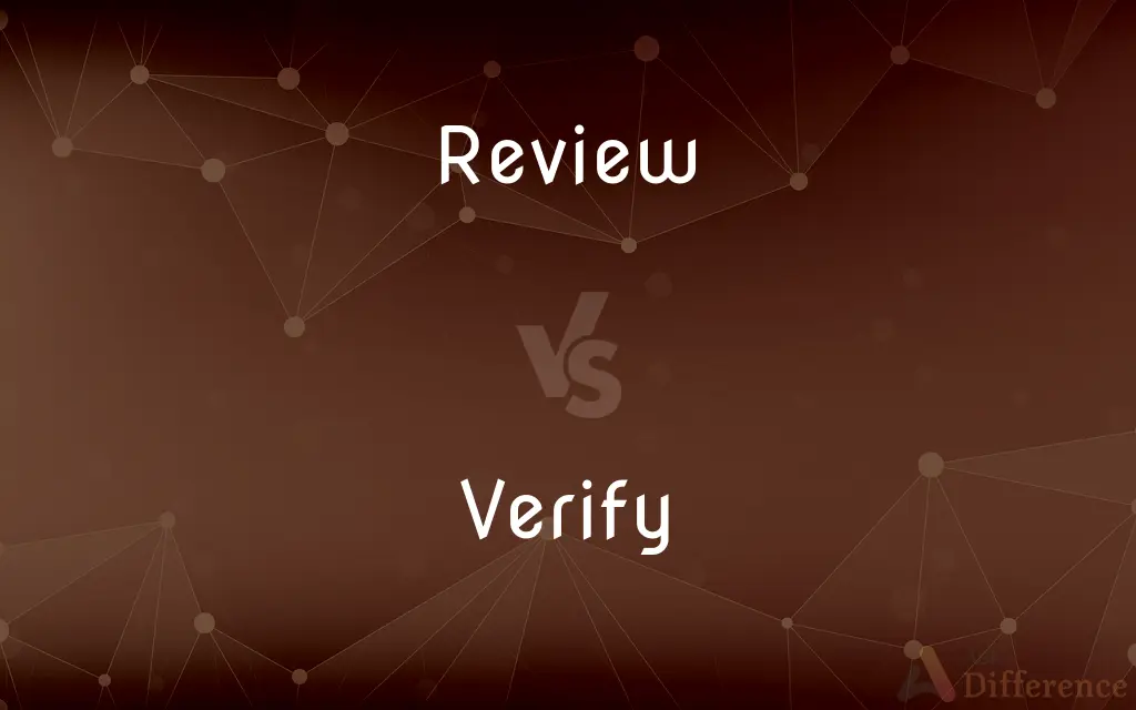 Review vs. Verify — What's the Difference?