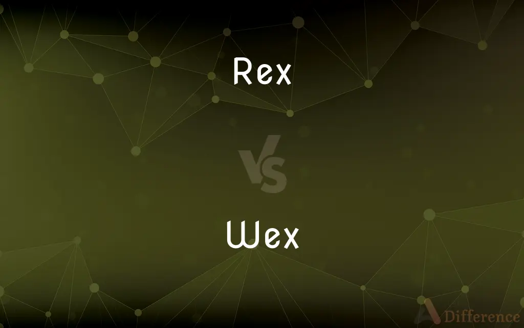 Rex vs. Wex — What's the Difference?