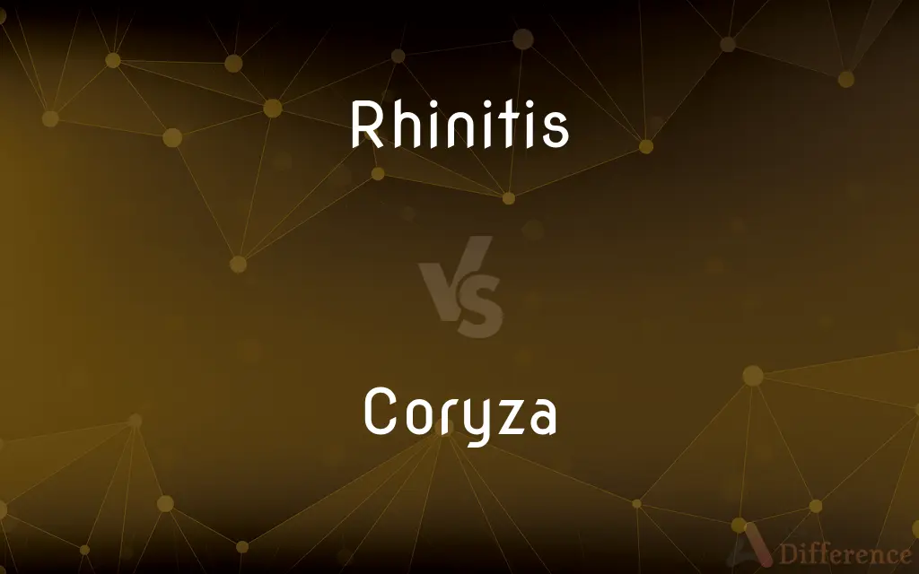 Rhinitis vs. Coryza — What's the Difference?