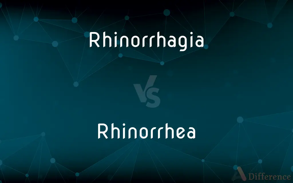 Rhinorrhagia vs. Rhinorrhea — What's the Difference?