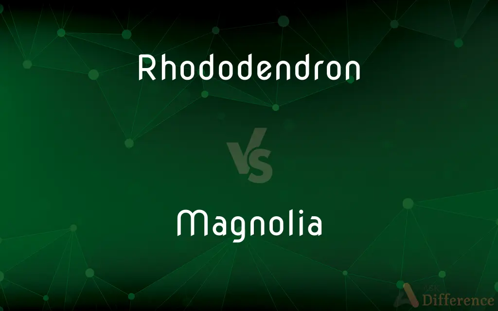 Rhododendron vs. Magnolia — What's the Difference?