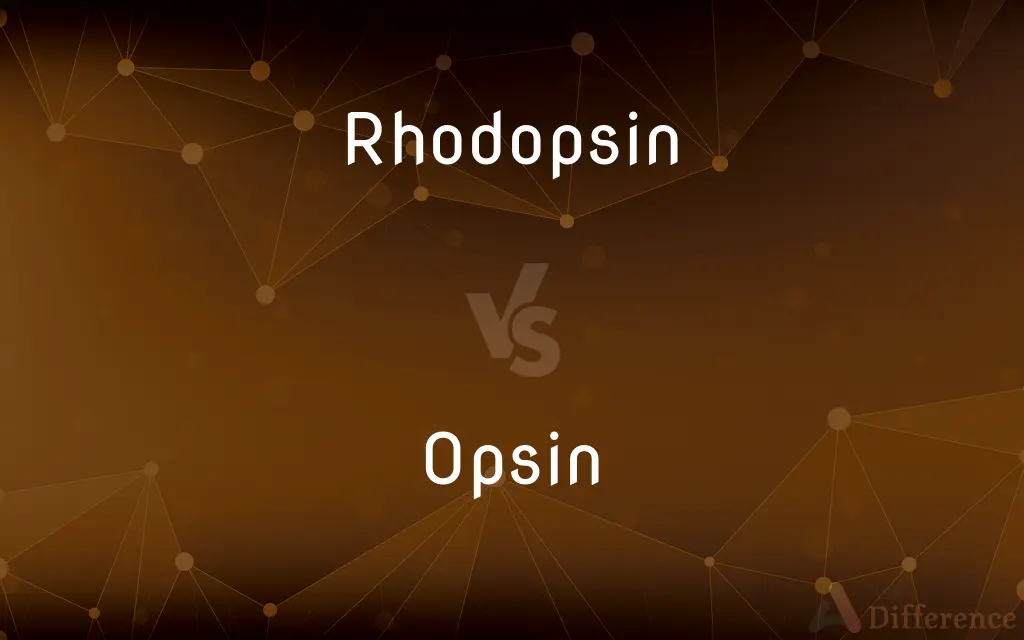 Rhodopsin vs. Opsin — What's the Difference?