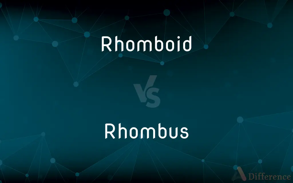 Rhomboid vs. Rhombus — What's the Difference?