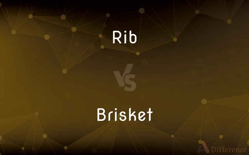 Rib vs. Brisket — What's the Difference?