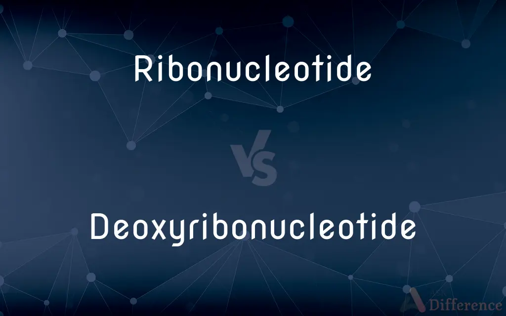 Ribonucleotide vs. Deoxyribonucleotide — What's the Difference?