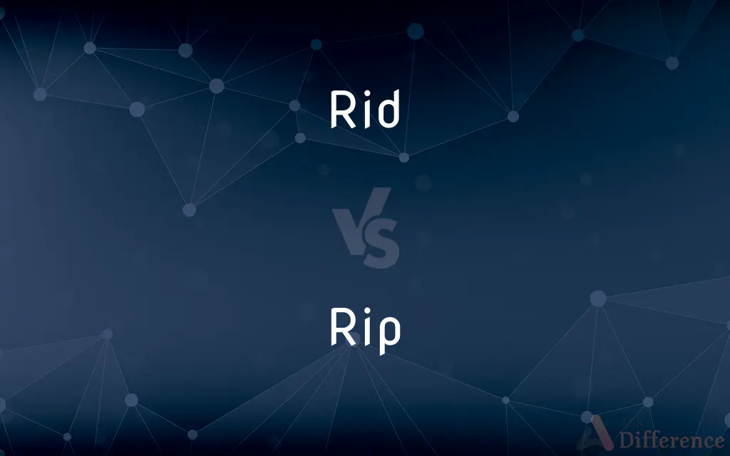 Rid vs. Rip — What's the Difference?