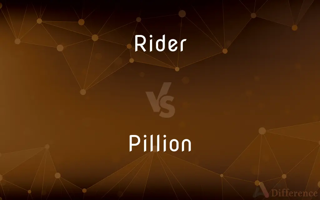 Rider vs. Pillion — What's the Difference?
