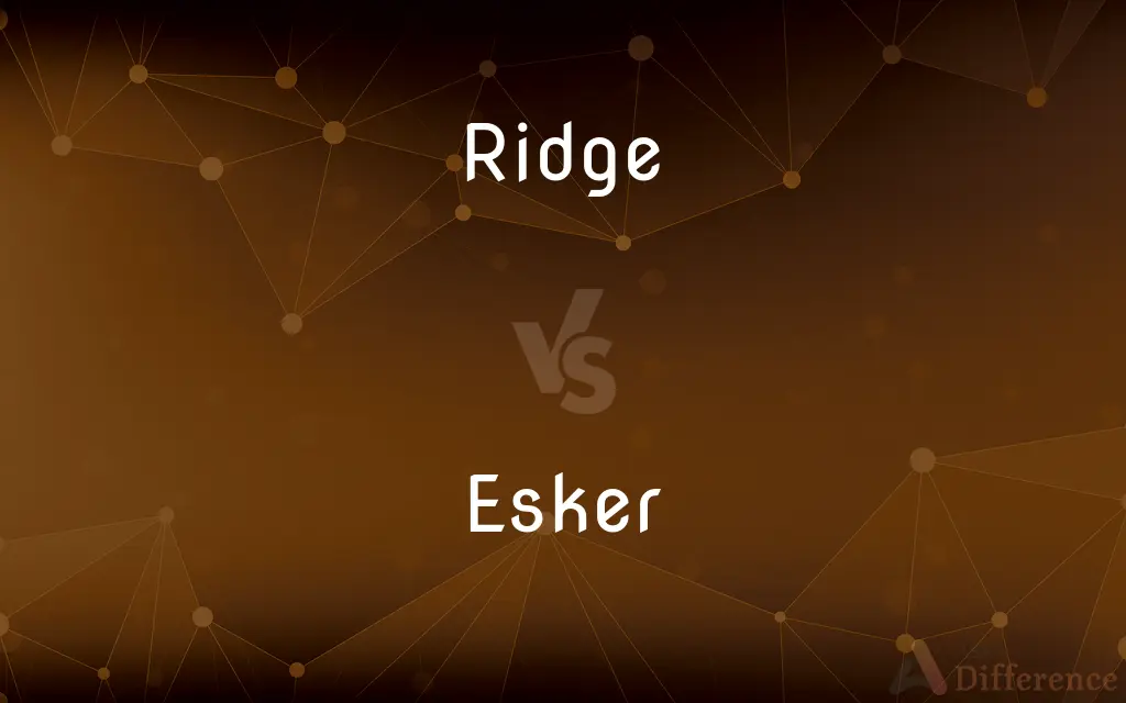 Ridge vs. Esker — What's the Difference?