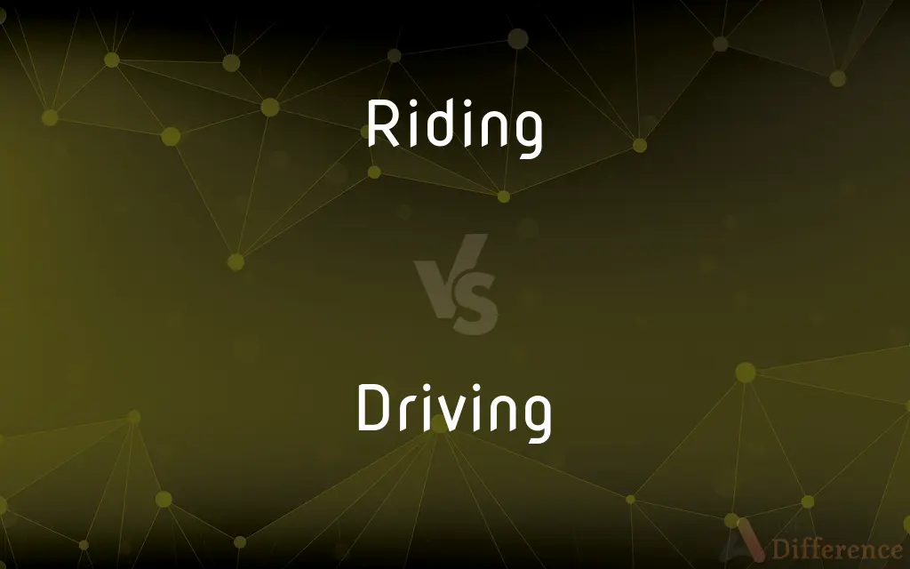 Riding vs. Driving — What's the Difference?