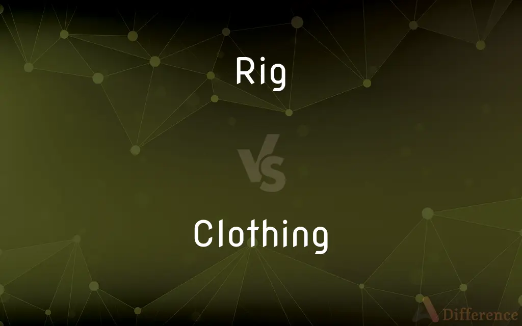 Rig vs. Clothing — What's the Difference?