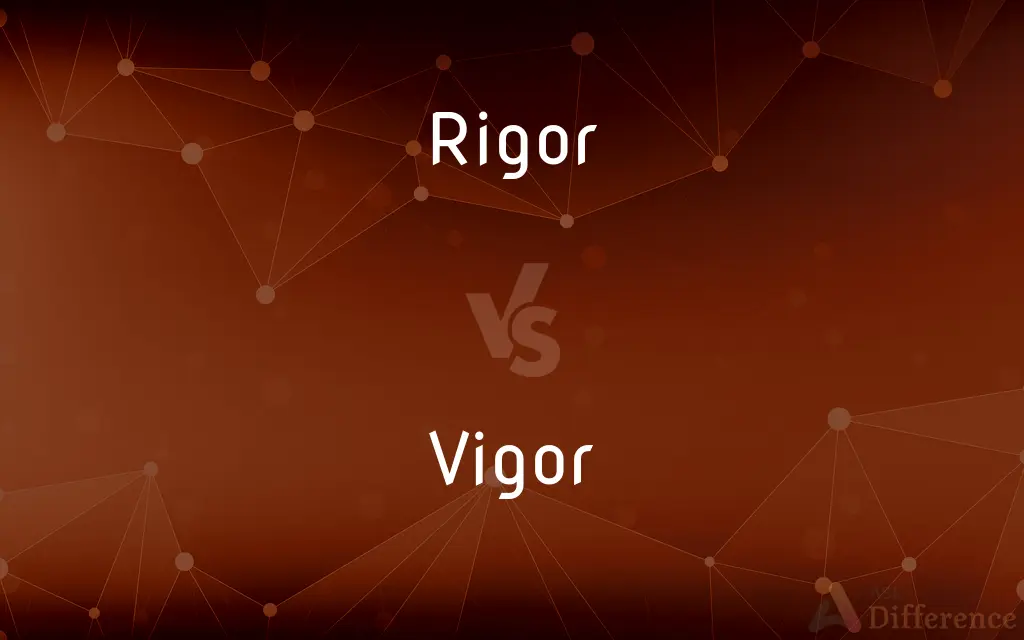 Rigor vs. Vigor — What's the Difference?