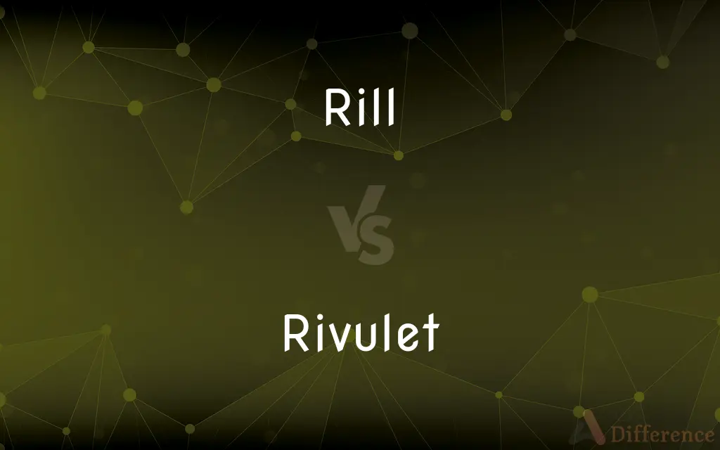 Rill vs. Rivulet — What's the Difference?