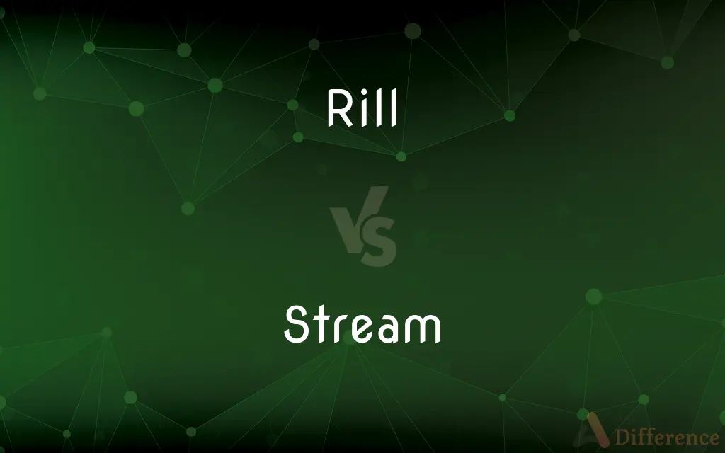 Rill vs. Stream — What's the Difference?