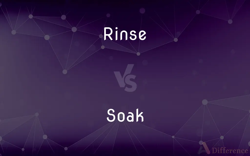 Rinse vs. Soak — What's the Difference?