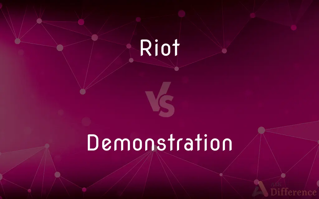 Riot vs. Demonstration — What's the Difference?