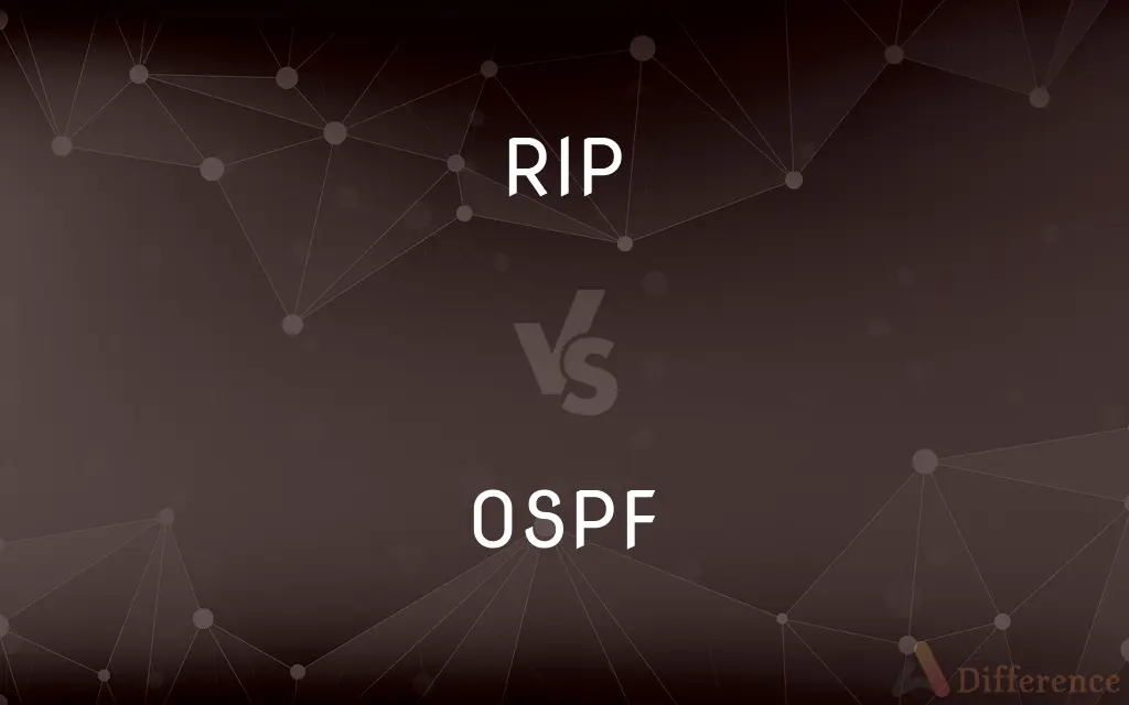 RIP vs. OSPF — What's the Difference?