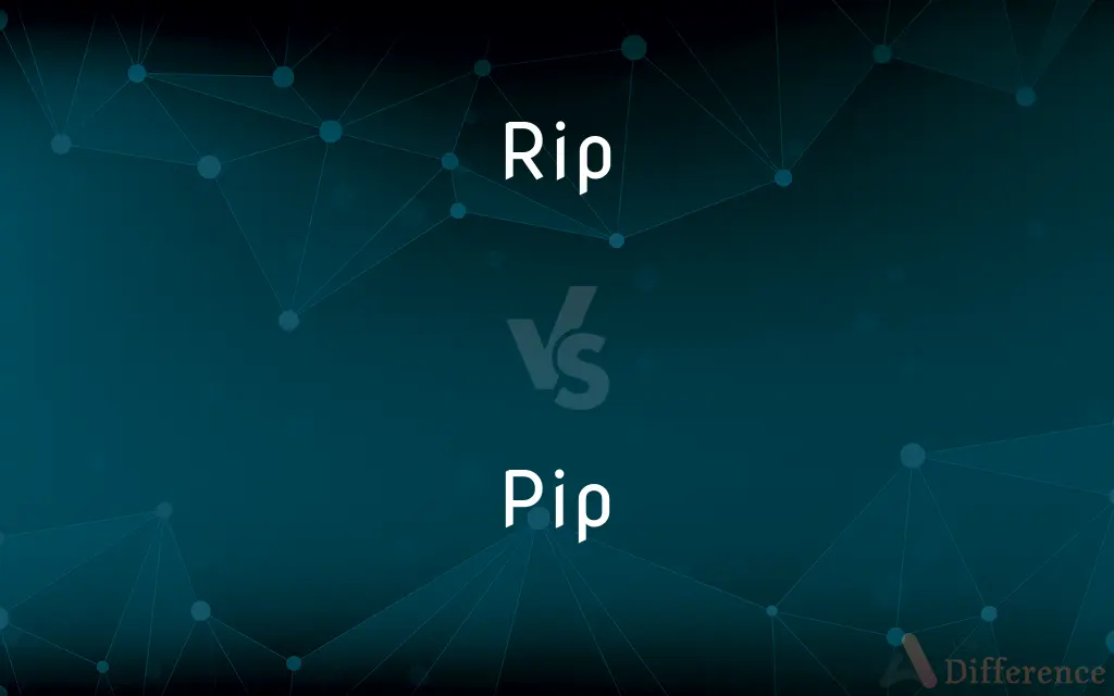 Rip vs. Pip — What's the Difference?