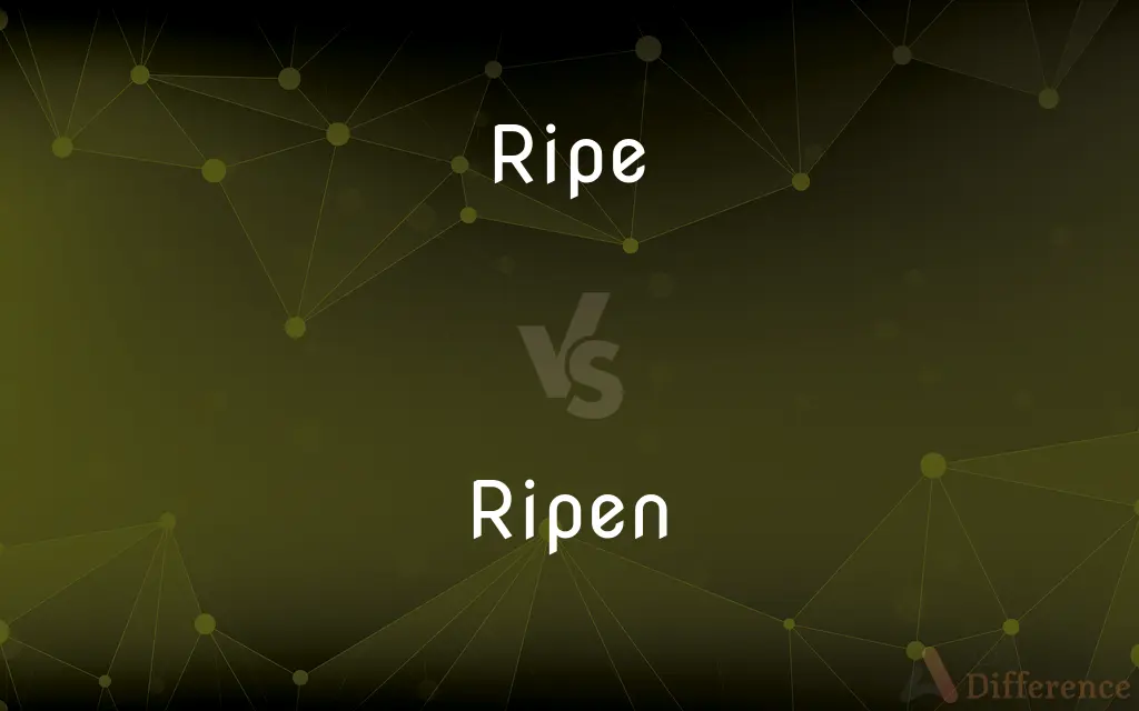 Ripe vs. Ripen — What's the Difference?