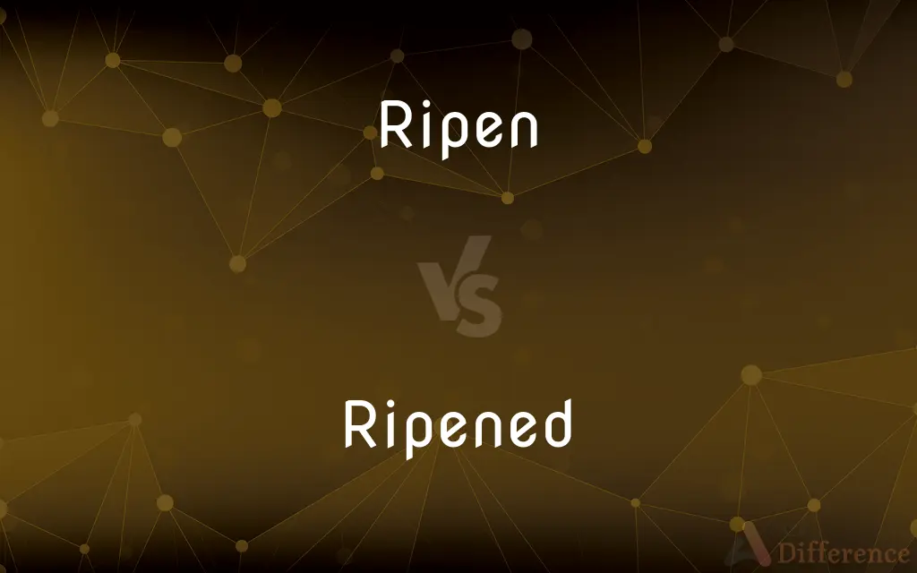 Ripen vs. Ripened — What's the Difference?