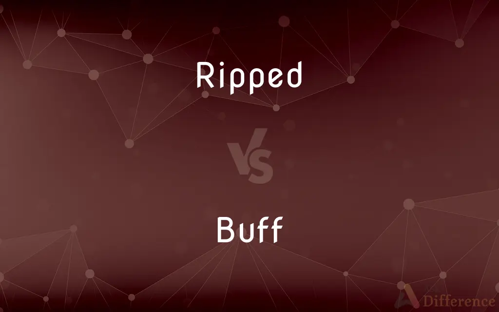 Ripped vs. Buff — What's the Difference?