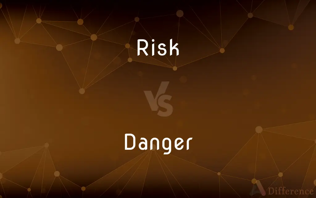 Risk vs. Danger — What's the Difference?