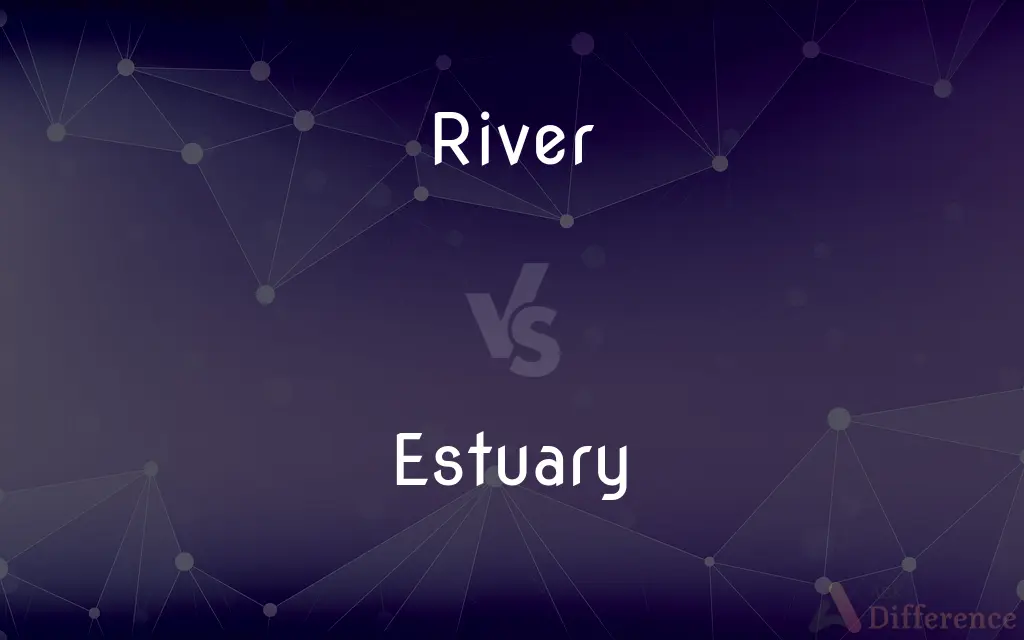 River vs. Estuary — What's the Difference?