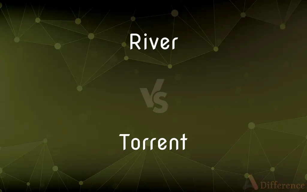 River vs. Torrent — What's the Difference?